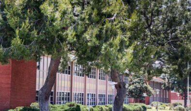 7 bin çocuğun istismarına 4 milyar dolar tazminat