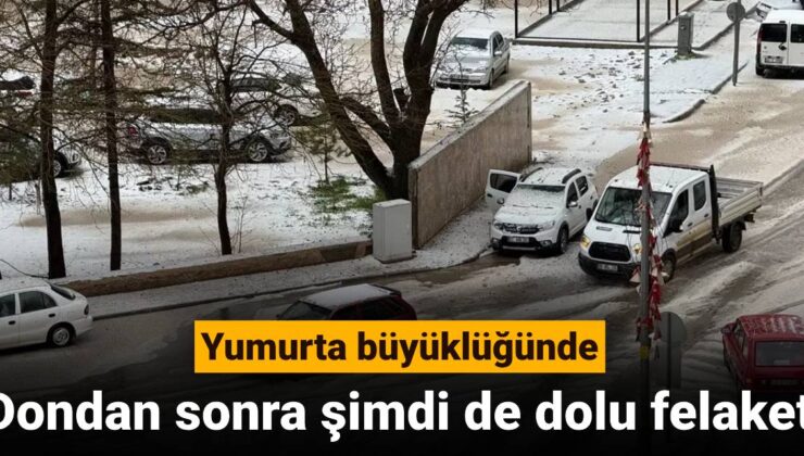Dondan sonra artık de dolu felaketi: Yumurta büyüklüğünde dolu tarım yerlerini felç etti