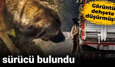 Manzara dehşete düşürmüştü: O şoför bulundu